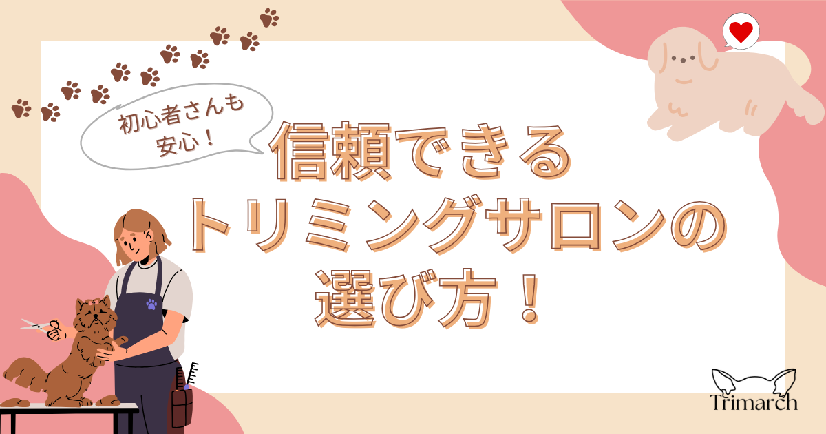 信頼できるトリミングサロンの選び方とは？